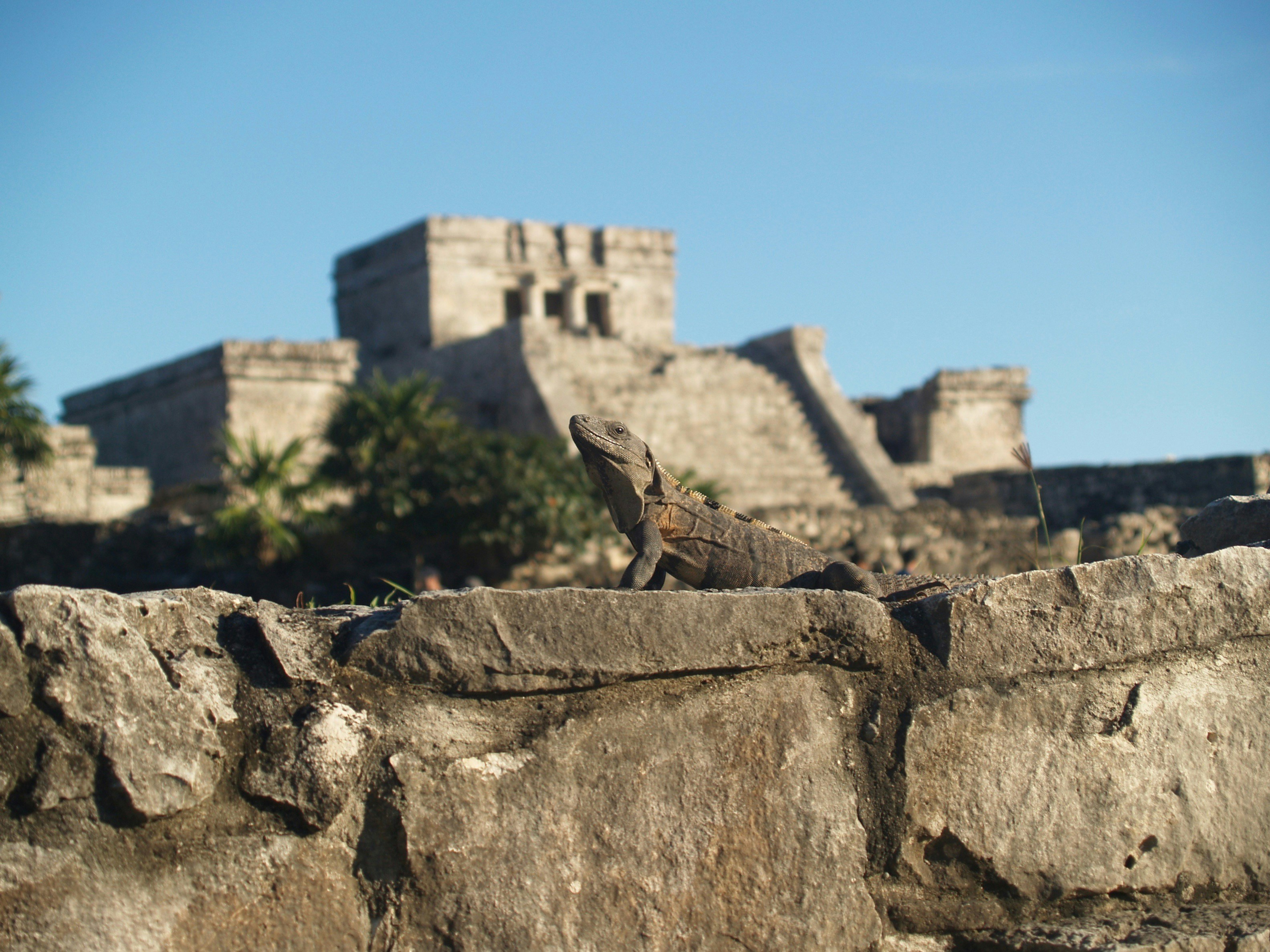 Tulum ruins above the Caribbean Sea